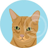 Teddy the Ginger Cat 9