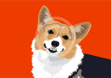 Corgi - Cardigan Welsh