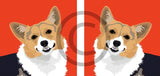 Corgi - Cardigan Welsh