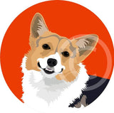 Corgi - Cardigan Welsh