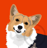 Corgi - Cardigan Welsh