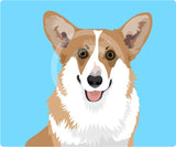 Corgi - Pembroke Welsh