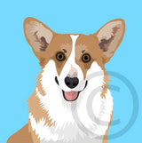 Corgi - Pembroke Welsh