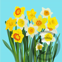 Daffodils