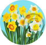 Daffodils