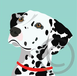 Dalmatian