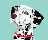 Dalmatian