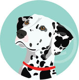 Dalmatian