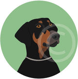 Doberman