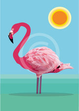 Flamingo