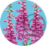 Foxgloves