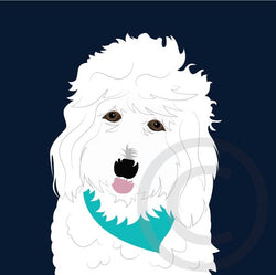 Goldendoodle