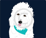 Goldendoodle