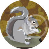 Grey Squirrel