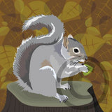 Grey Squirrel