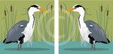 Heron