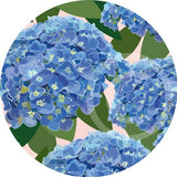 Hydrangea