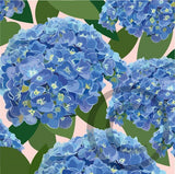 Hydrangea