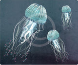 Jellyfish in the Deep Ocean