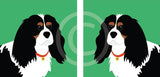 King Charles Cavalier