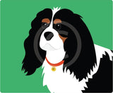 King Charles Cavalier