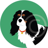 King Charles Cavalier