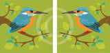 Kingfisher