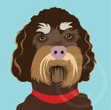 Labradoodle
