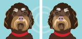 Labradoodle
