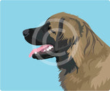 Leonberger