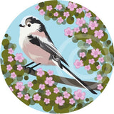 Long Tailed Tit