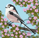 Long Tailed Tit