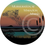 Murmuration at Marazion Marsh