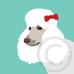 Poodle