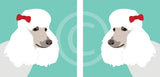 Poodle