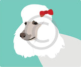 Poodle