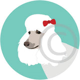 Poodle