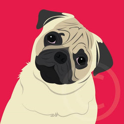 Pug