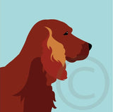 Red Setter