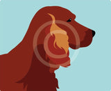 Red Setter