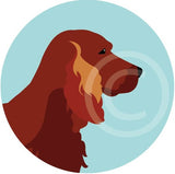 Red Setter