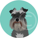 Schnauzer