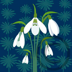 Snowdrops