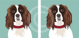 Spaniel 1