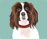 Spaniel 1