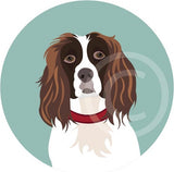 Spaniel 1