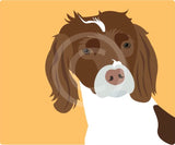 Spaniel 2