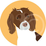 Spaniel 2
