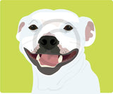 Staffie