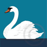 Swan